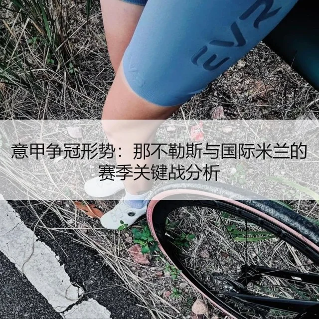 意甲争冠形势:那不勒斯与国际米兰的赛季关键战分析
